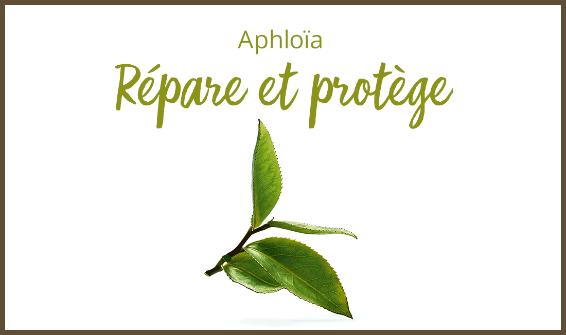 vegetale anti inquinamento