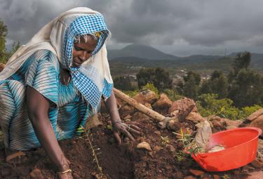 Comunità di Piantatori