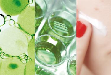 Assimilazione celluare