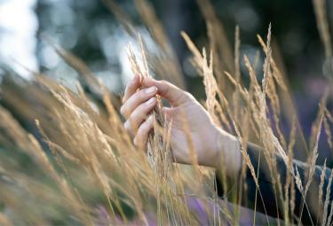 immagine gruppo nuova