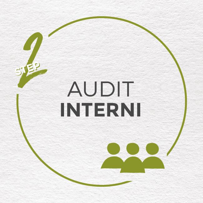 audit-interni