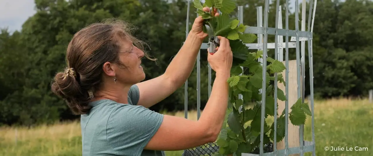 Femme taillant une plante