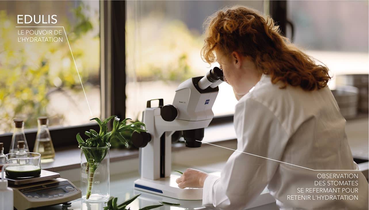 Femme observant de l'edulis au microscope